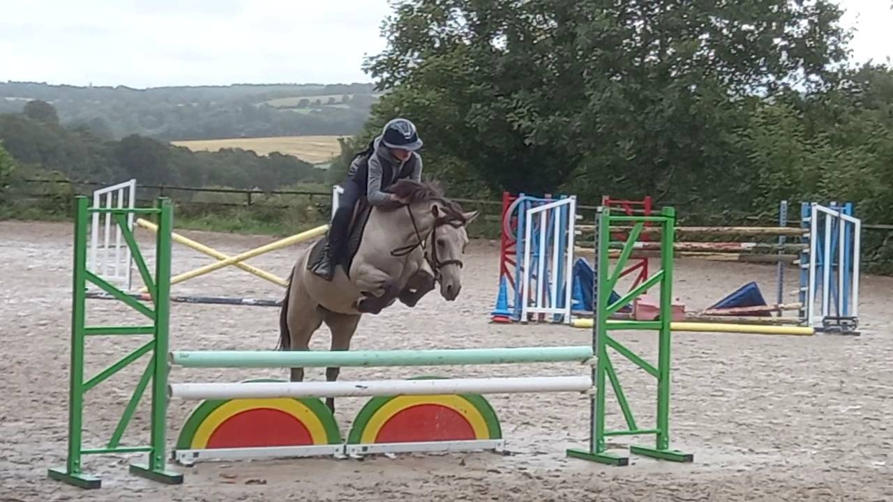Ponette PFS C de 6 ans