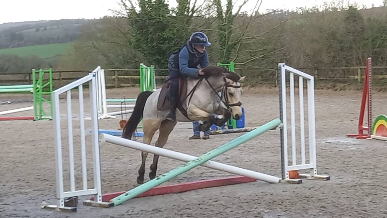 Ponette PFS C de 6 ans