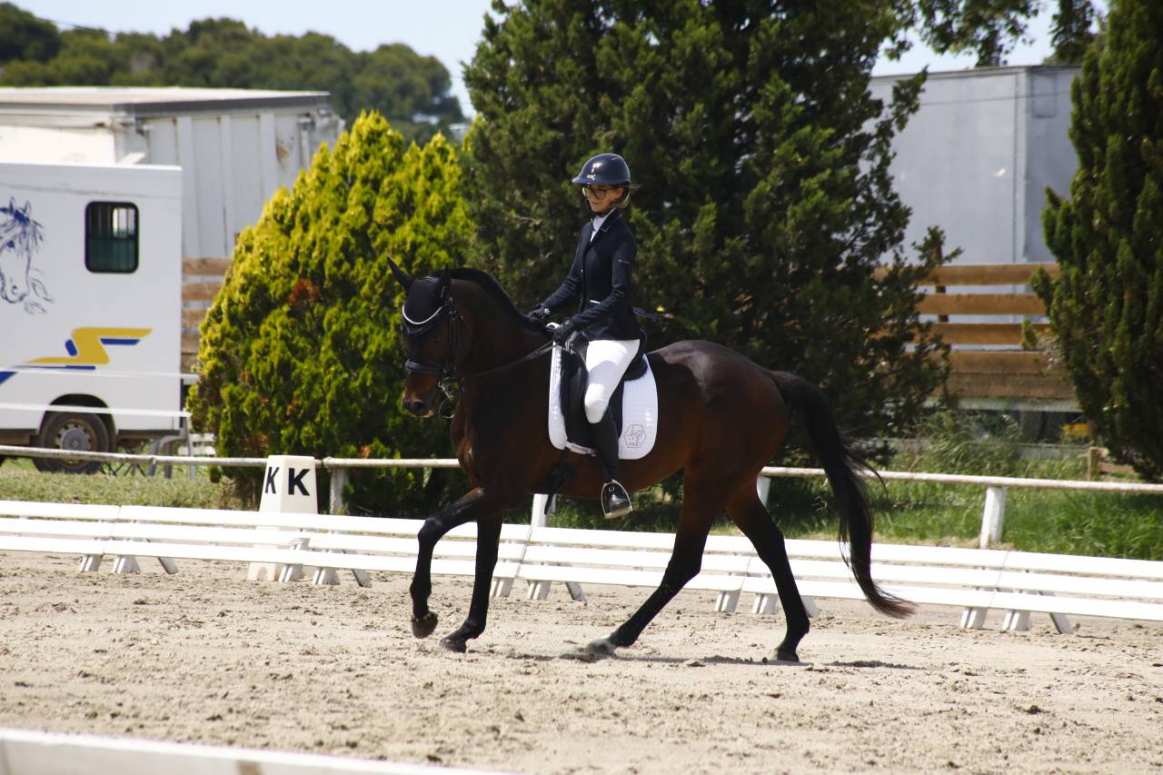 Cheval polyvalent et prometteur.