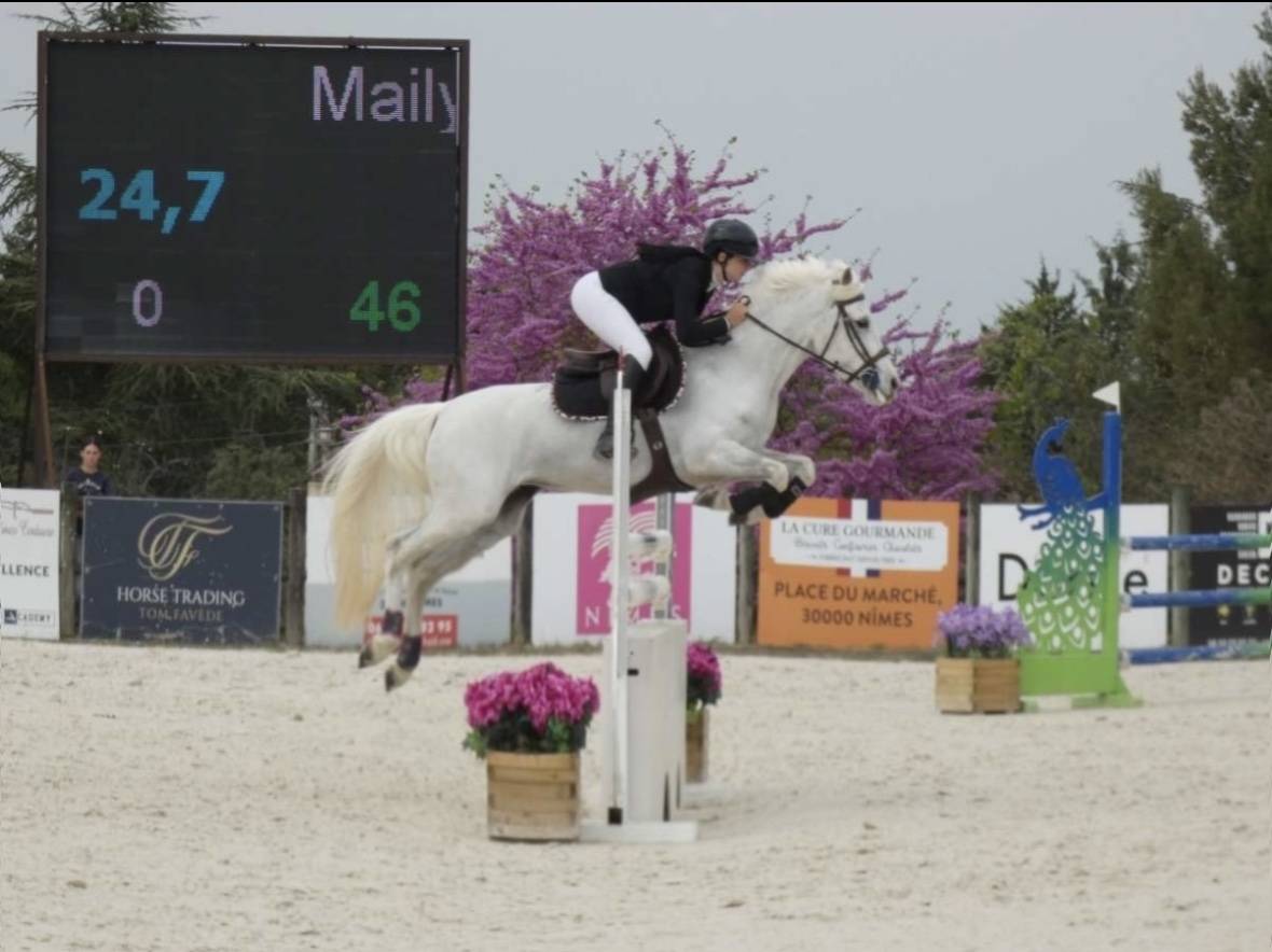 Poney &agrave; louer 