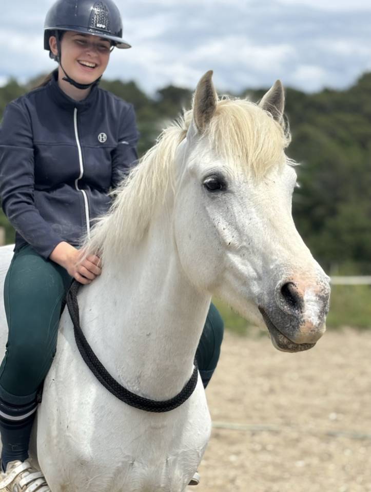 Poney &agrave; louer 