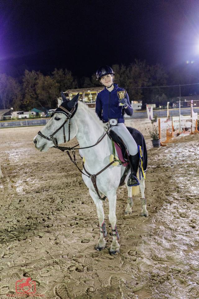 Poney &agrave; louer 