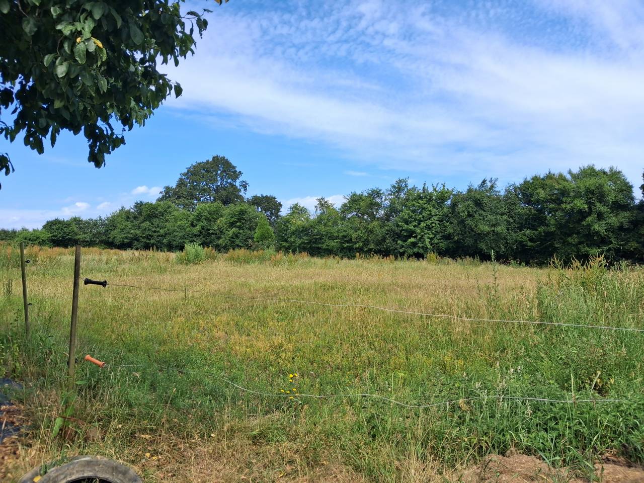 PROPRI&Eacute;T&Eacute; &Eacute;QUESTRE &ndash; LONG&Egrave;RE R&Eacute;NOV&Eacute;E 241 m&sup2; + HANGAR 