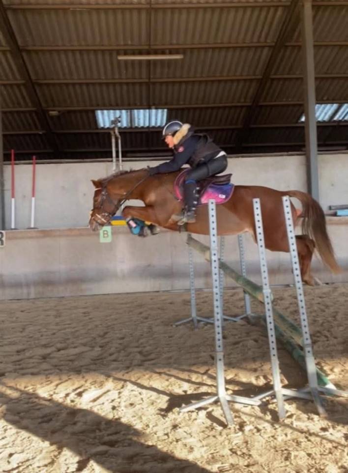 A VENDRE  Ponette C  Imahee des Cosses 
