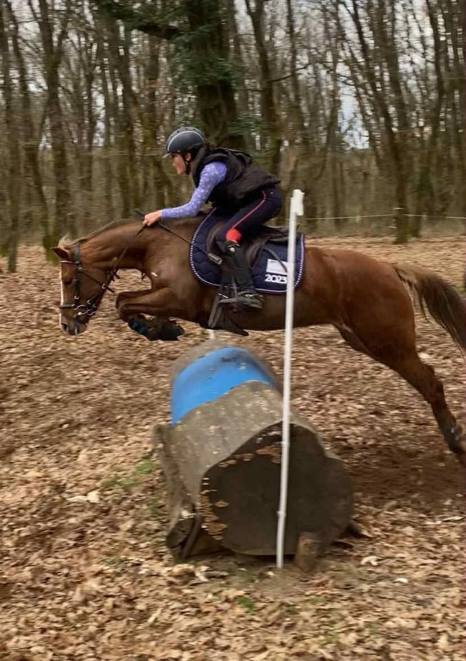 A VENDRE  Ponette C  Imahee des Cosses 