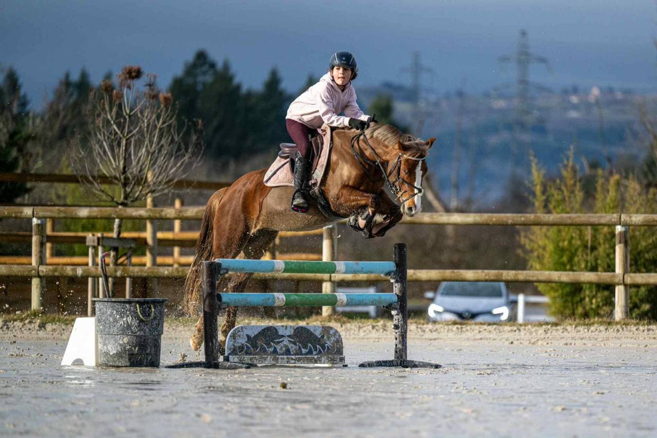 A VENDRE  Ponette C  Imahee des Cosses 