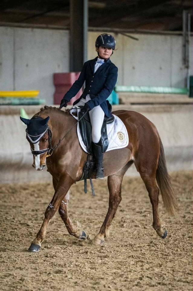 A VENDRE  Ponette C  Imahee des Cosses 