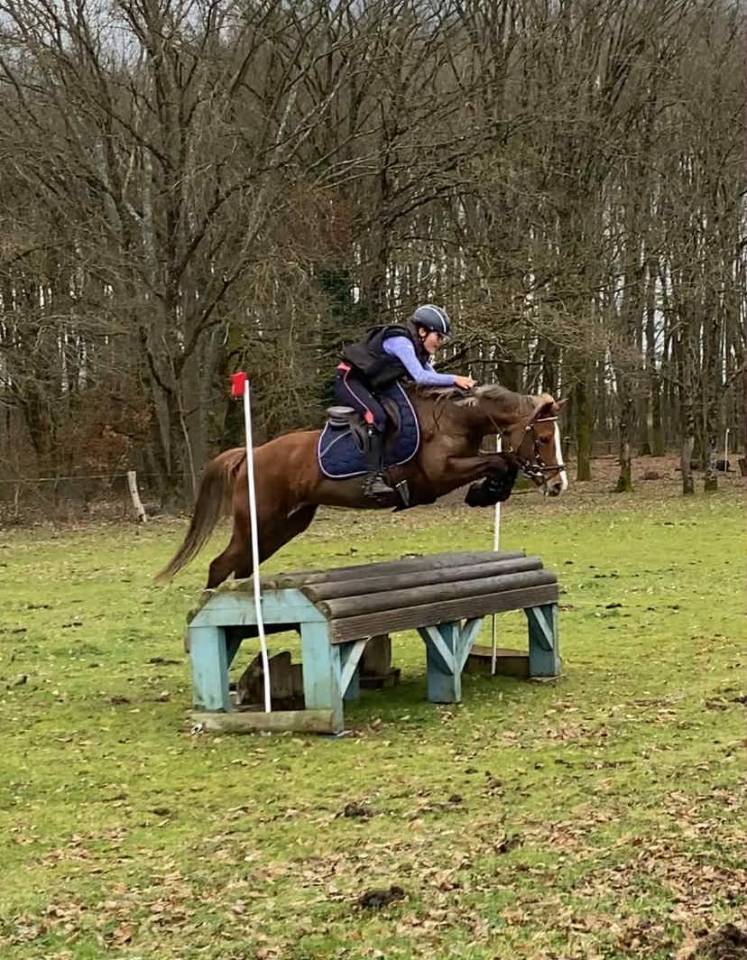 A VENDRE  Ponette C  Imahee des Cosses 