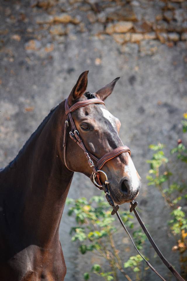 Ponette PFS 5 ans