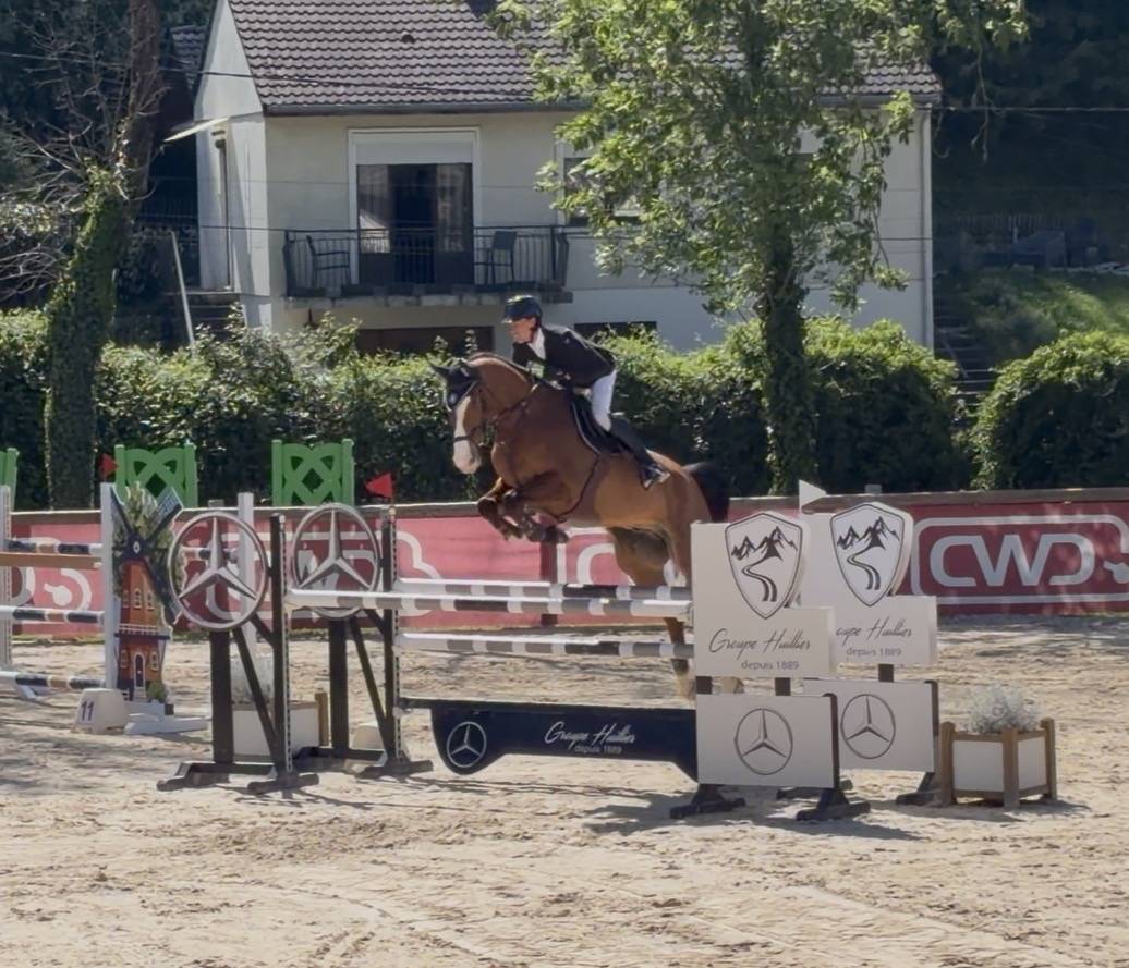 Jackpot de Sisse hongre 7 ans