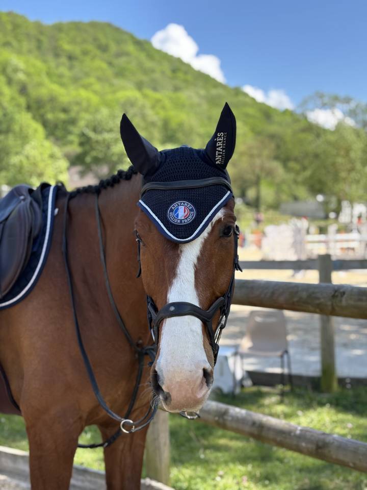 Jackpot de Sisse hongre 7 ans