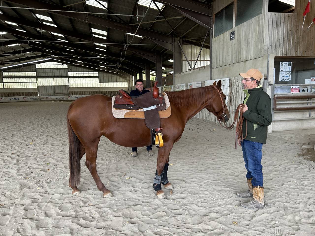 Jument quarter horse
