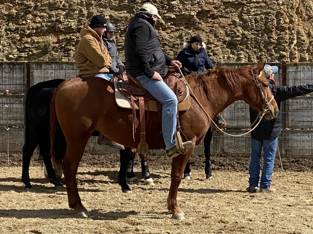 Jument quarter horse