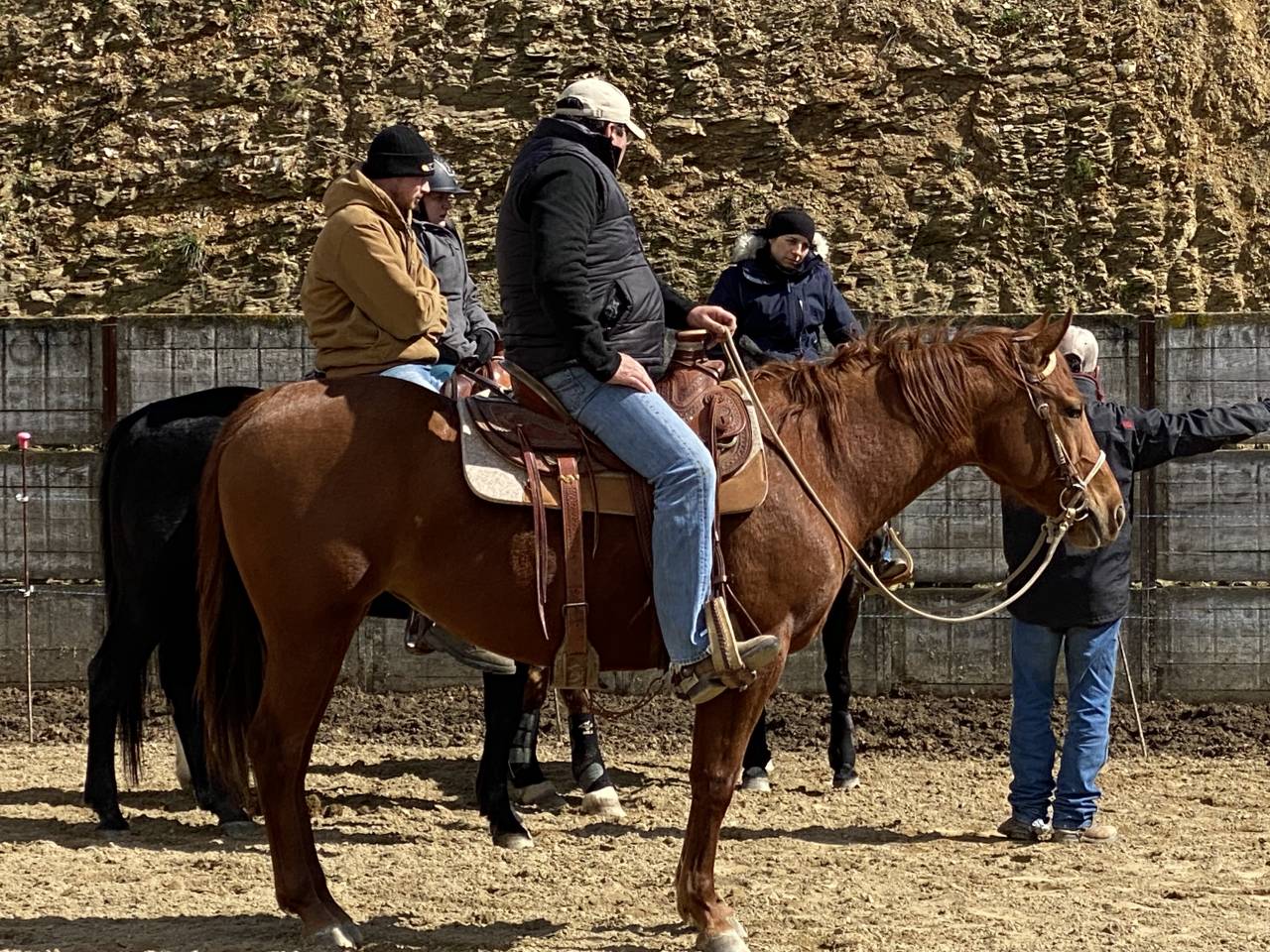 Jument quarter horse