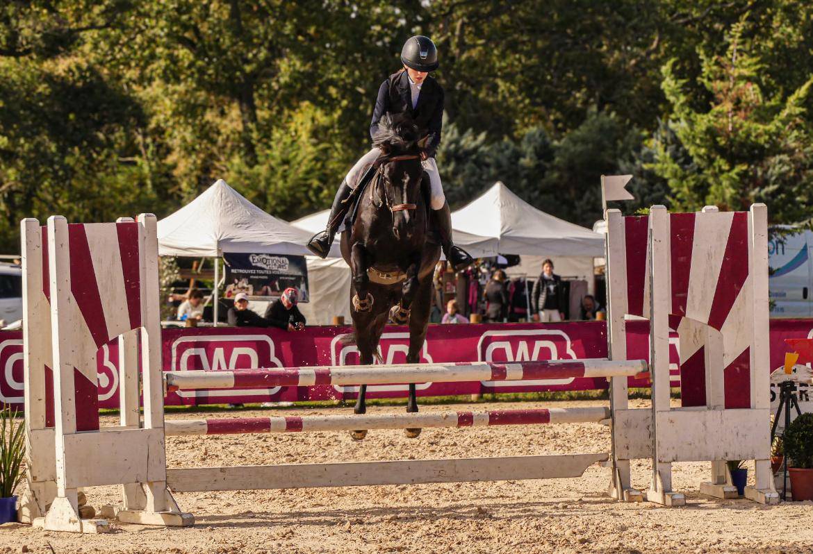 Ponette de CSO 8 ans &agrave; vendre