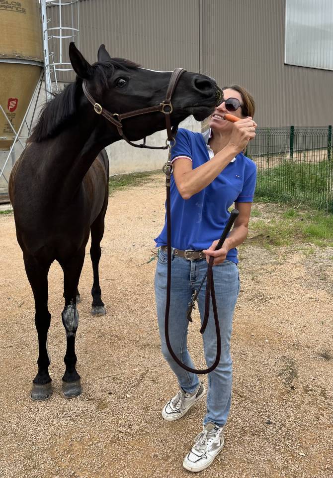 Ponette de CSO 8 ans &agrave; vendre