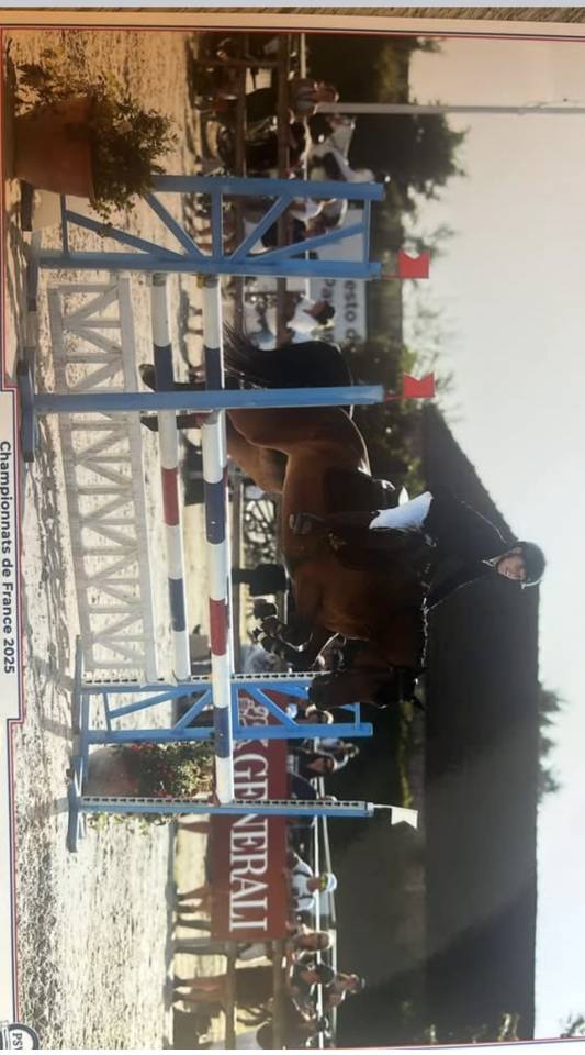 Top ponette 7 ans 