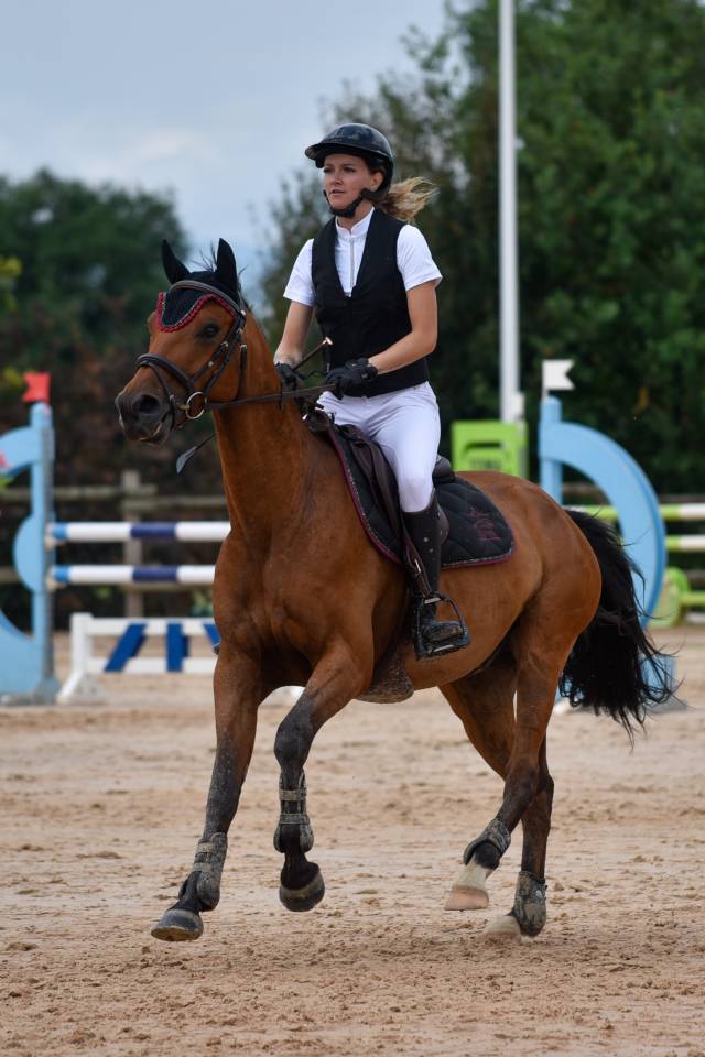Hongre Selle Fran&ccedil;ais de 6ans par Asti Spumante 
