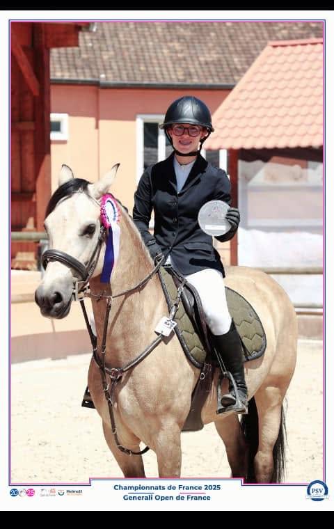 Jument Welsh D class&eacute;e CCE P2/P1 et CSO