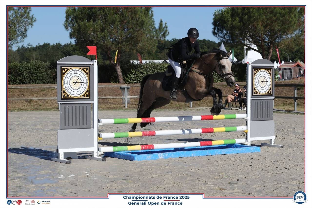 Jument Welsh D class&eacute;e CCE P2/P1 et CSO
