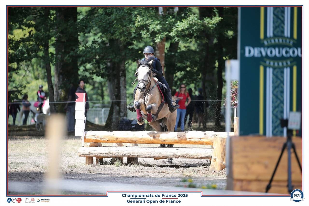 Jument Welsh D class&eacute;e CCE P2/P1 et CSO