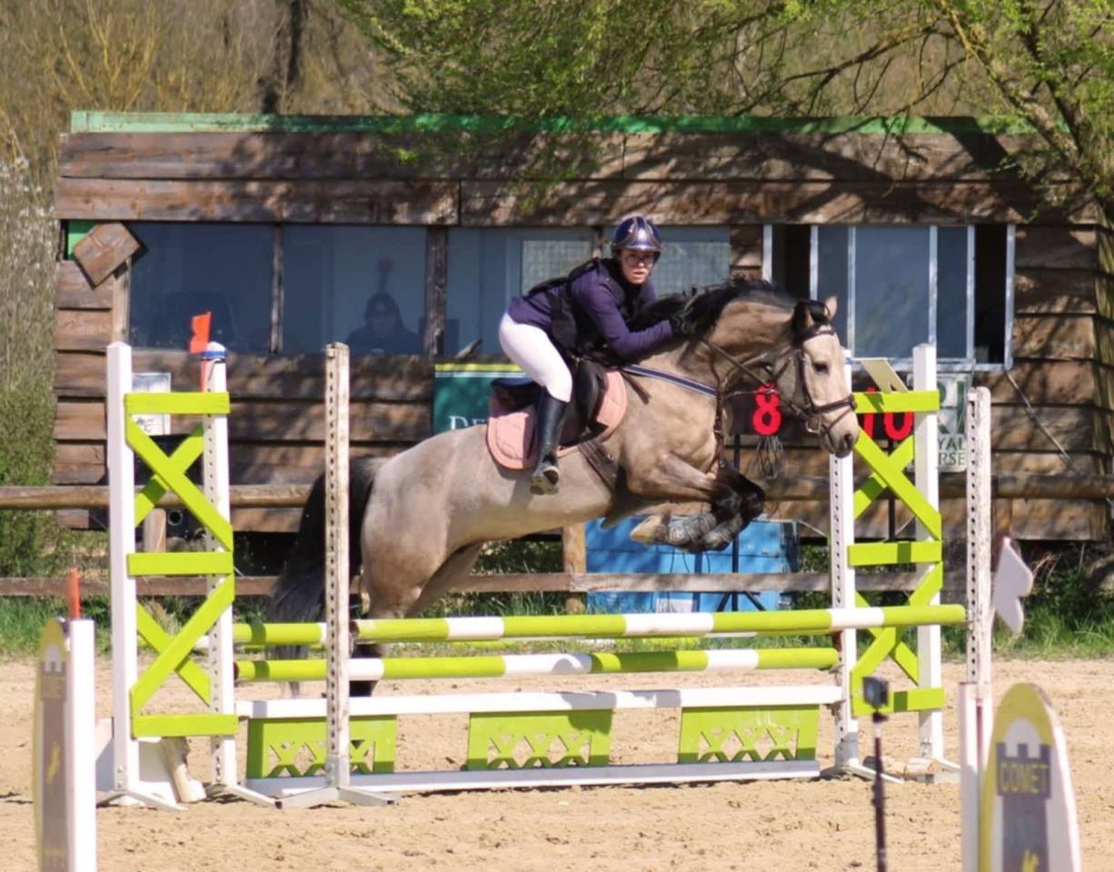 Jument Welsh D class&eacute;e CCE P2/P1 et CSO