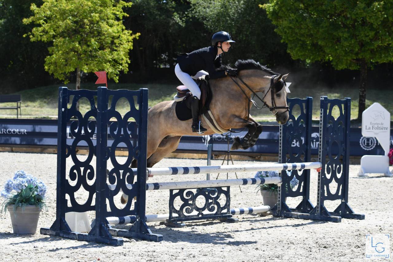 Jument Welsh D class&eacute;e CCE P2/P1 et CSO
