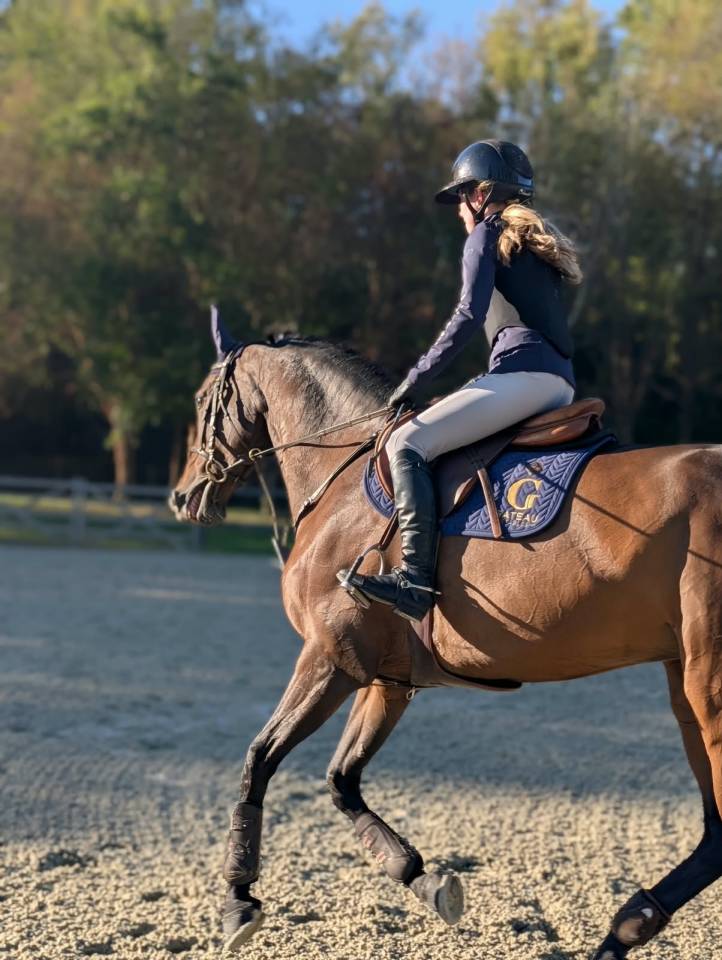 Top 145 Mare for Amateur, Juniors & Young Riders