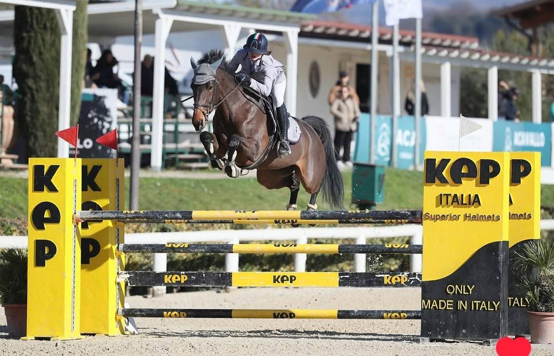 Top 145 Mare for Amateur, Juniors & Young Riders