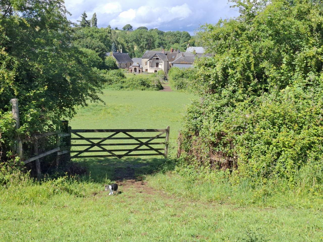 Propri&eacute;t&eacute; , maison d&eacute;pendances et sur 1.9 hectare de terrain