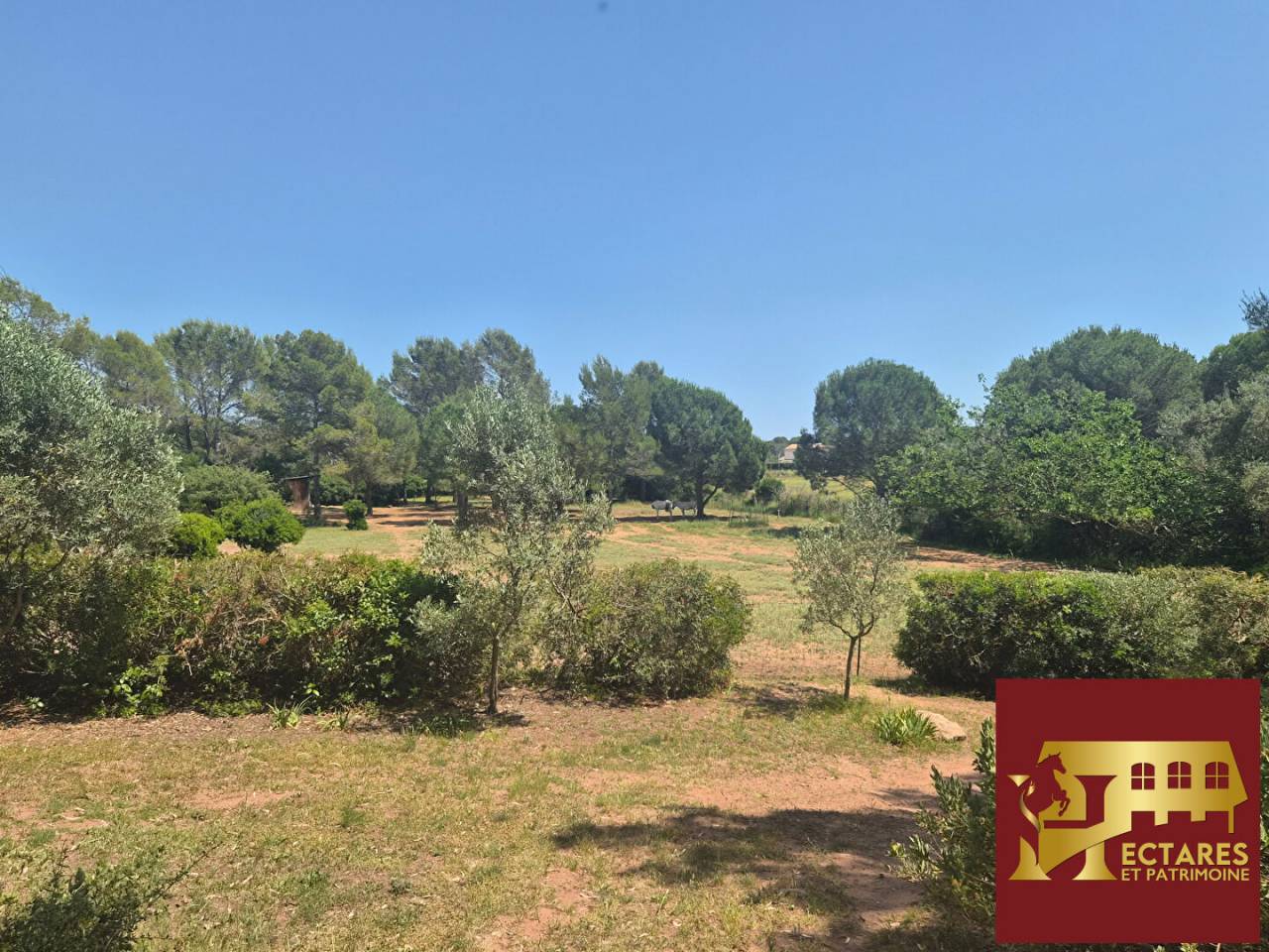 Propri&eacute;t&eacute; &eacute;questre de caract&egrave;re  &agrave; Roquebrune sur Argens . Rare &agrave; la vente !