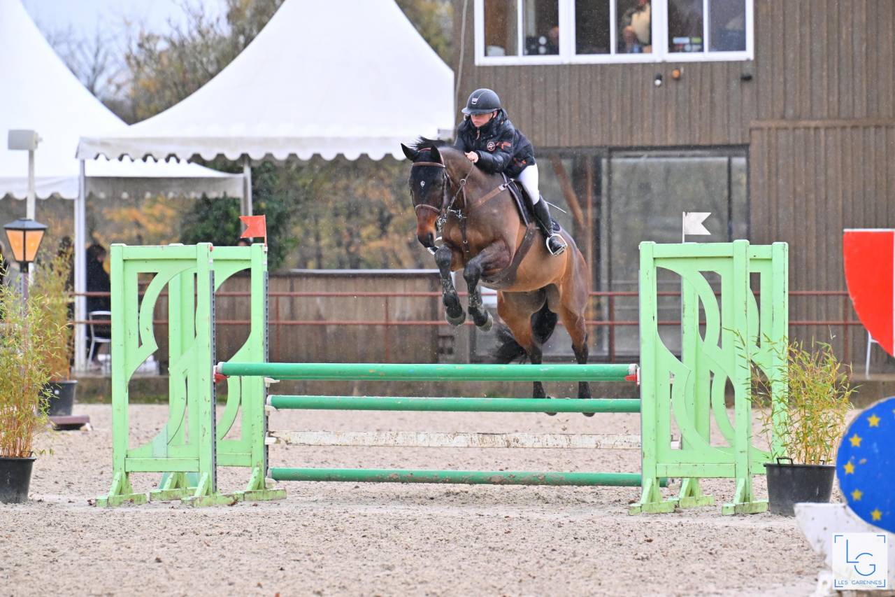 Izra des Douits hongre de 8ans pour CSO Amateur 1