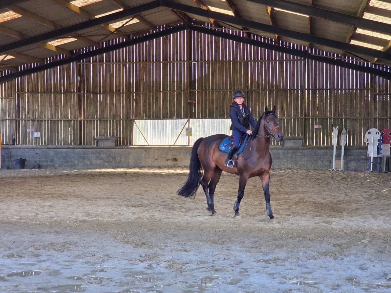 Izra des Douits hongre de 8ans pour CSO Amateur 1