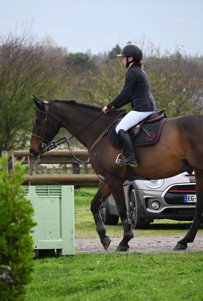 Izra des Douits hongre de 8ans pour CSO Amateur 1