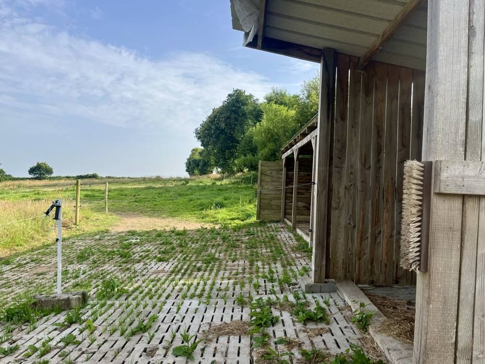 Pension Pr&eacute;/abris avec pistes- Plou&eacute;dern 