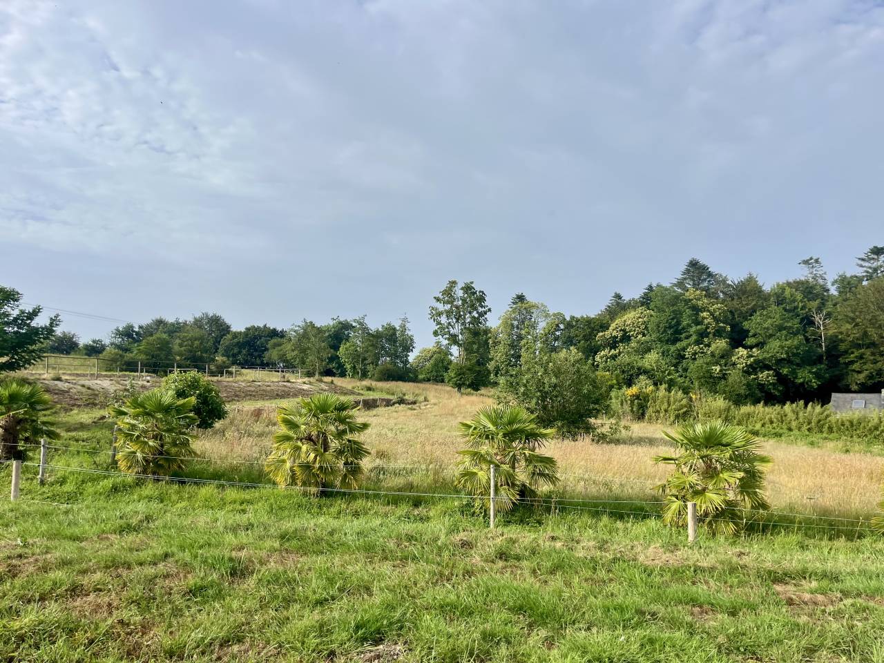 Pension Pr&eacute;/abris avec pistes- Plou&eacute;dern 