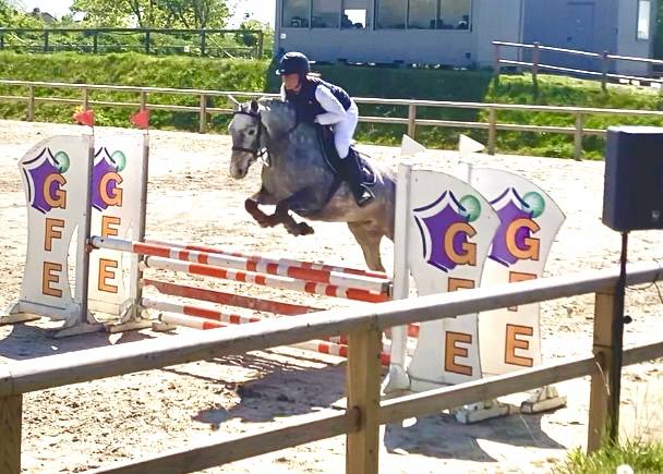 Pfs femelle 4 ans 