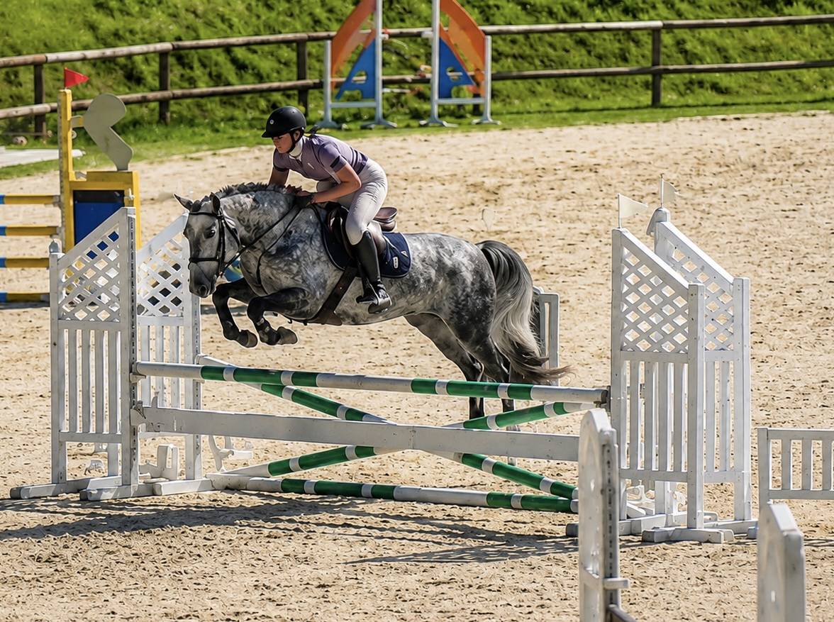Pfs femelle 4 ans 