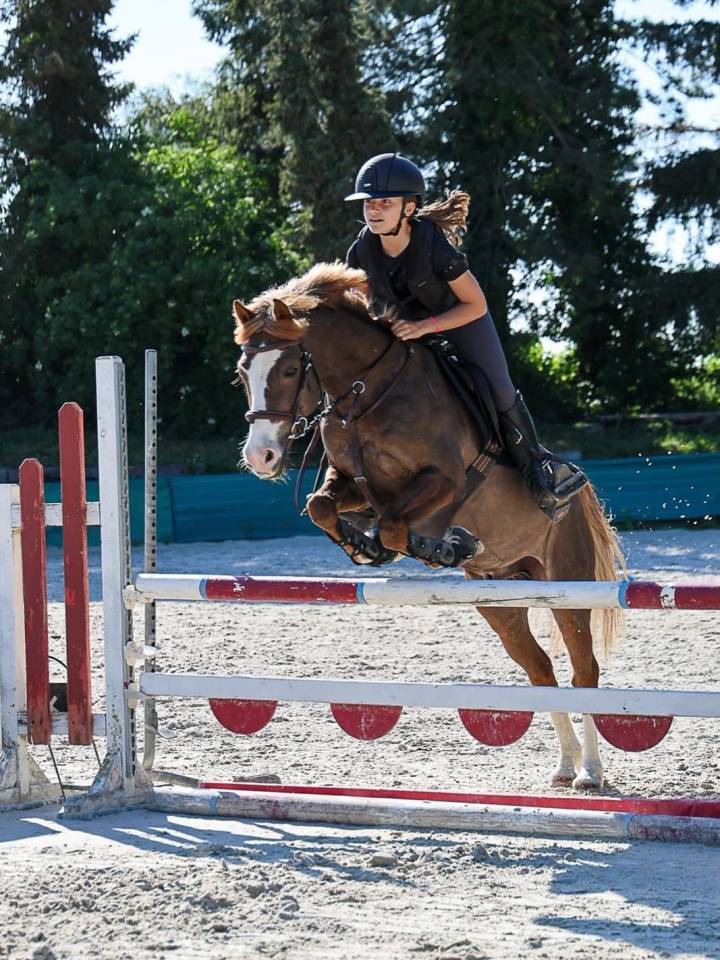 Poney &agrave; louer