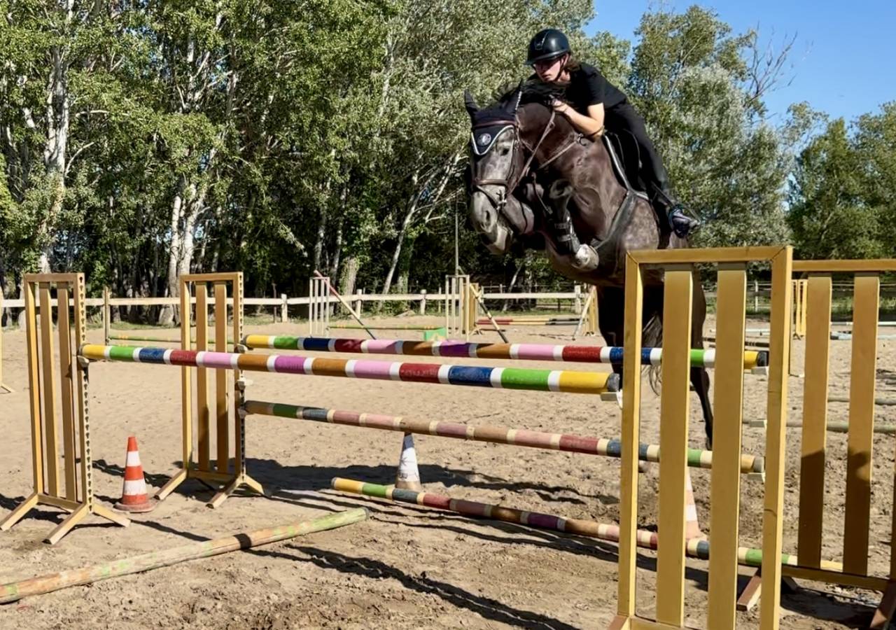 KAJMAN DU TER (CORNET OBOLINSKI x BURGGRAAF) H 6 ans
