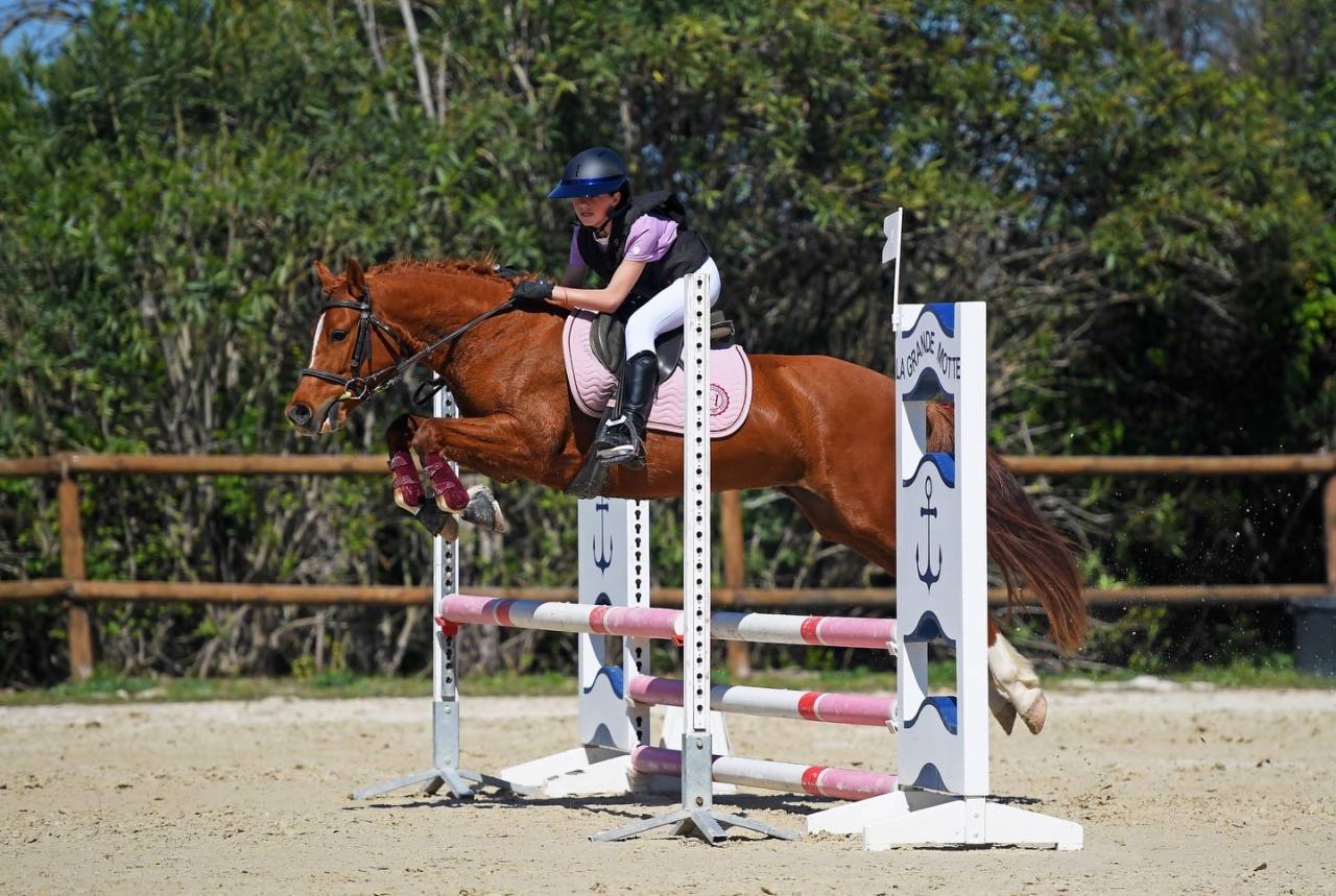 Lovlystar - Ponette D 