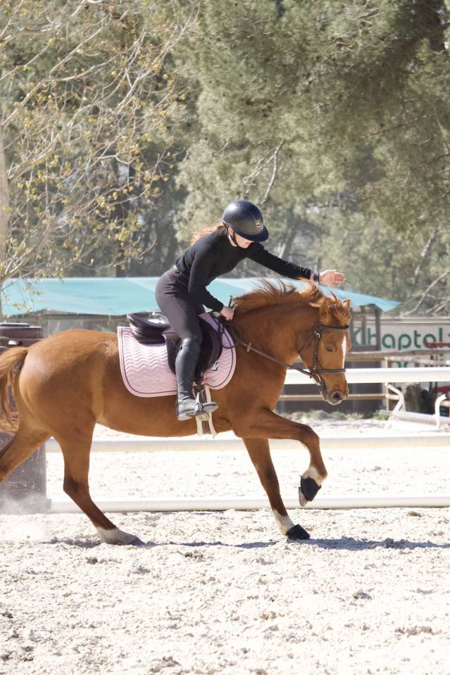 Lovlystar - Ponette D 