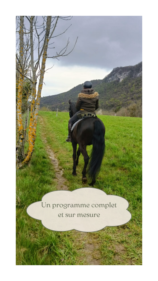 Comportementaliste &eacute;quin et communicante animale 