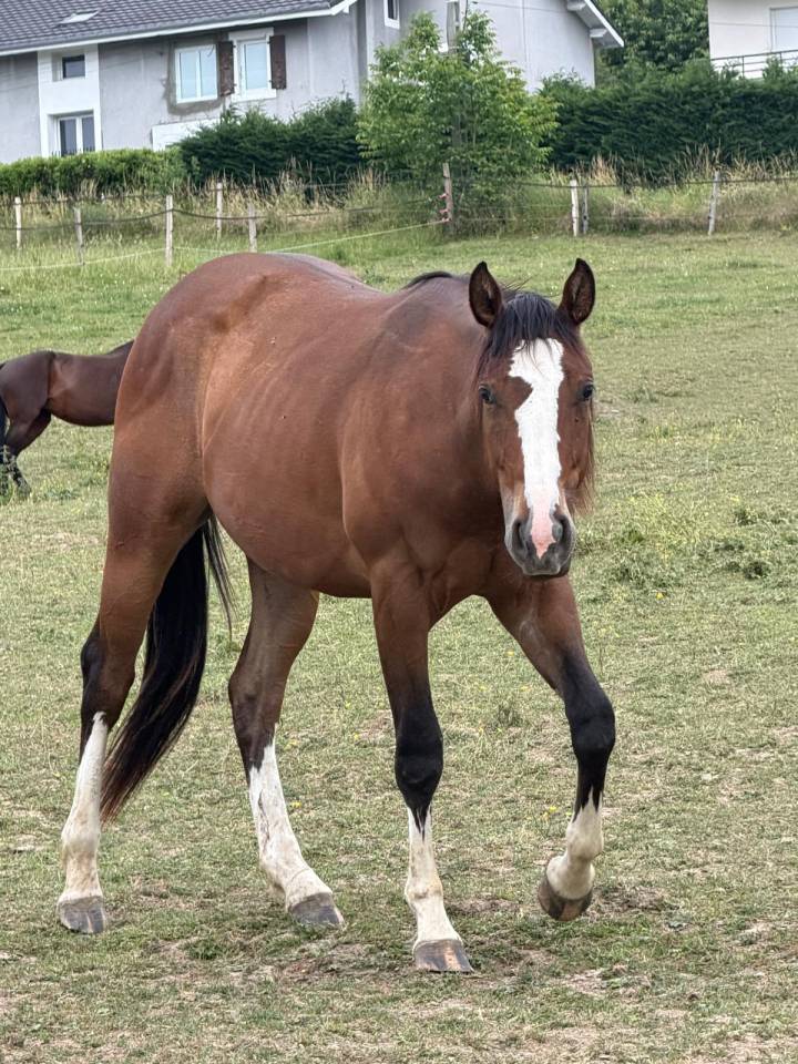 Paint-hors plein papier 