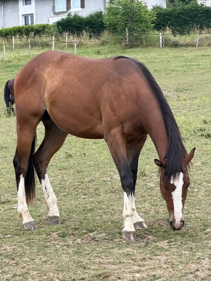 Paint-hors plein papier 