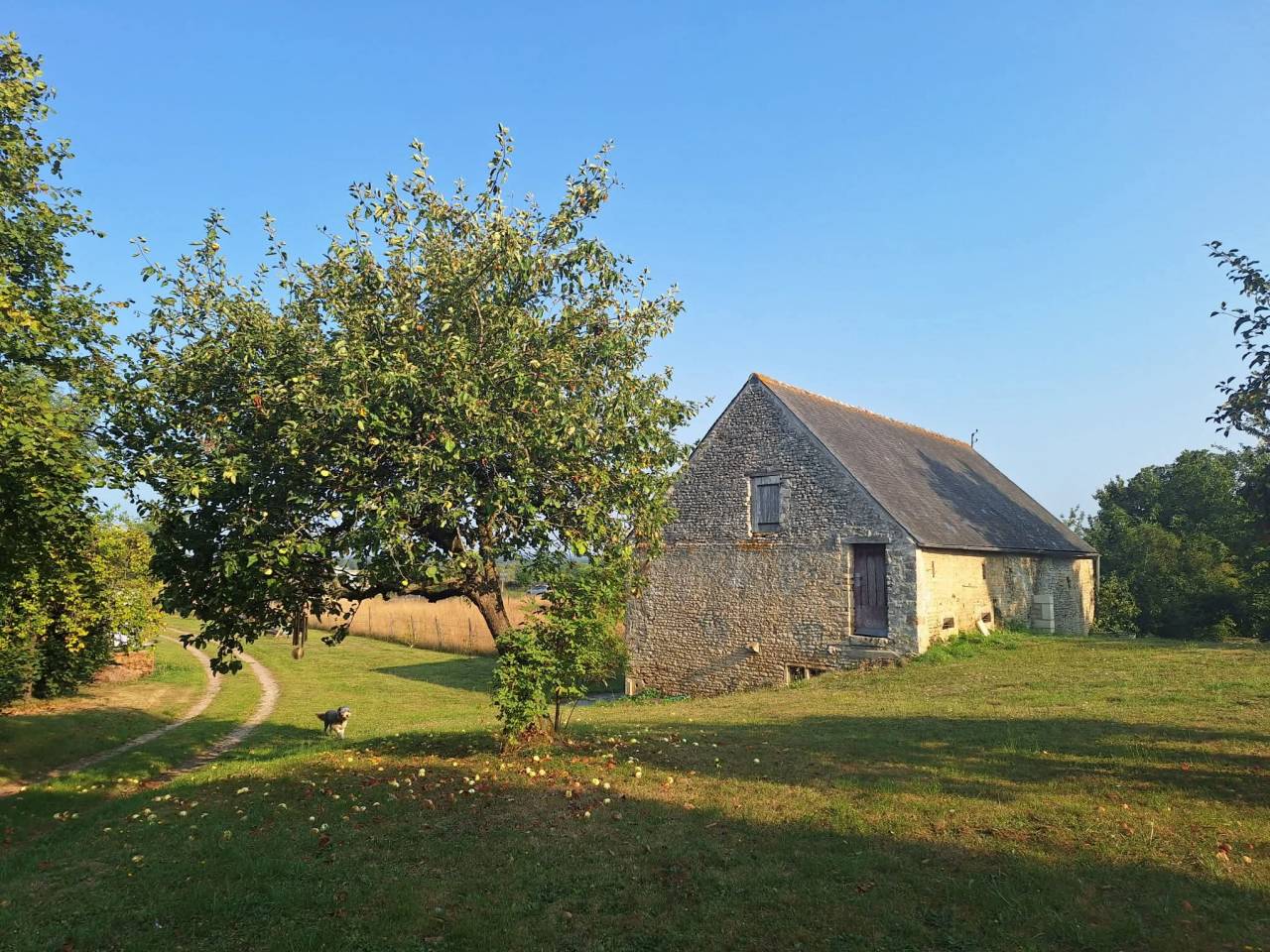 Maison sur 5 hectares avec d&eacute;pendances