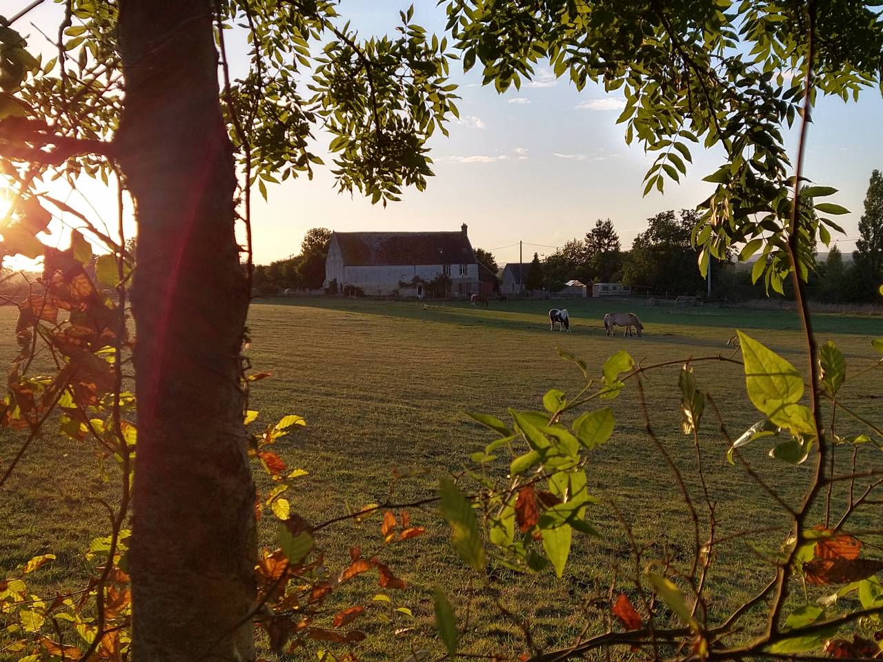 Maison sur 5 hectares avec d&eacute;pendances