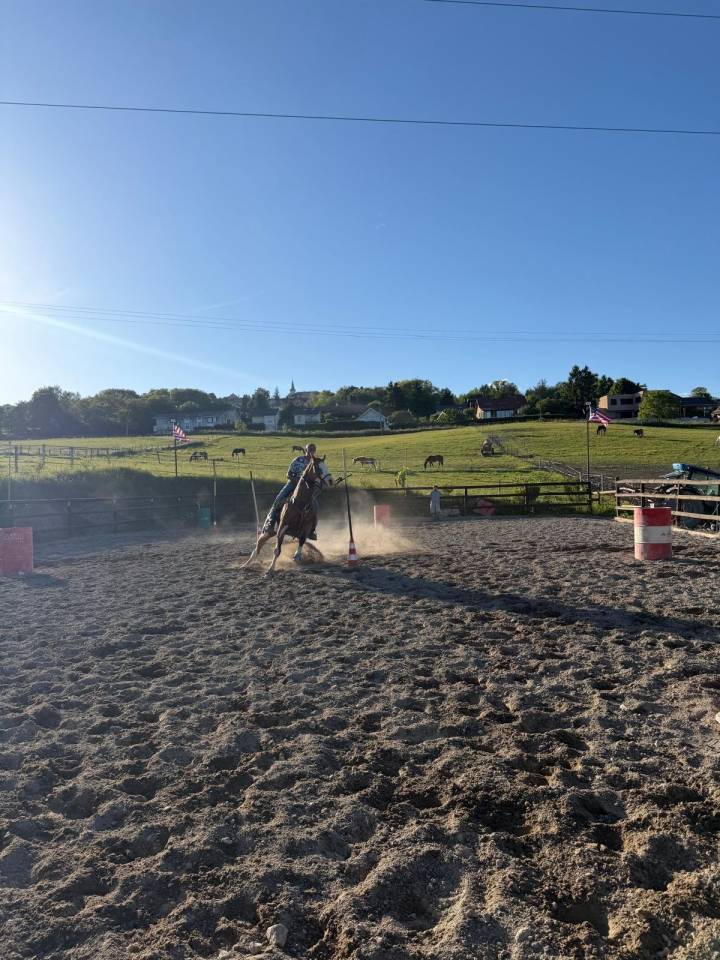 Pension compl&egrave;te chevaux &ndash; LD Buddy Ranch