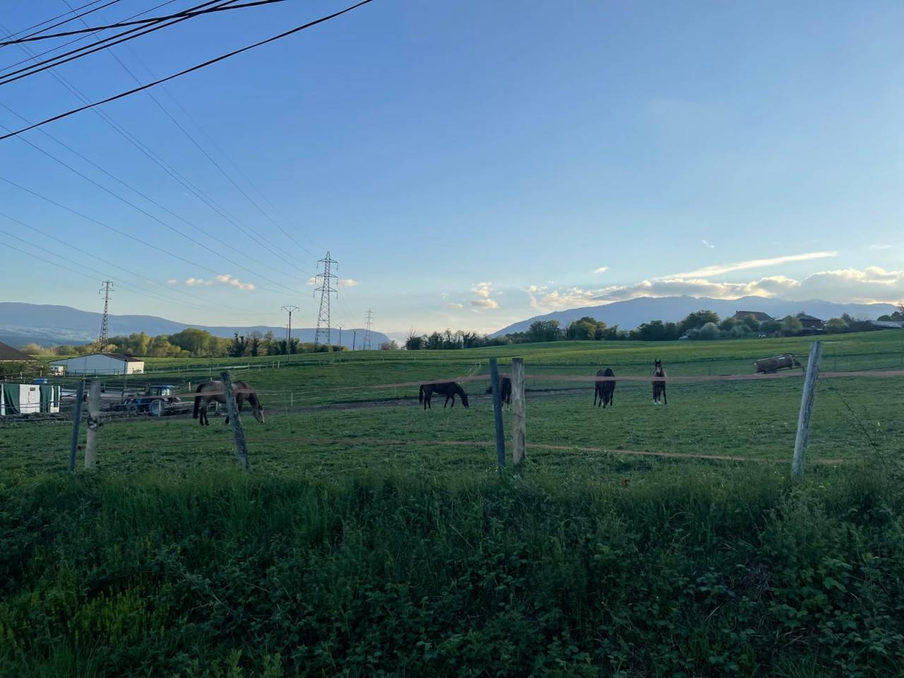 Pension compl&egrave;te chevaux &ndash; LD Buddy Ranch