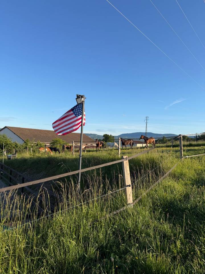 Pension compl&egrave;te chevaux &ndash; LD Buddy Ranch